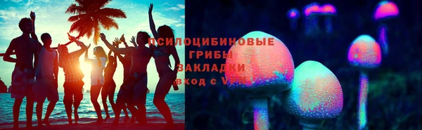 ГАЛЛЮЦИНОГЕННЫЕ ГРИБЫ Кулебаки