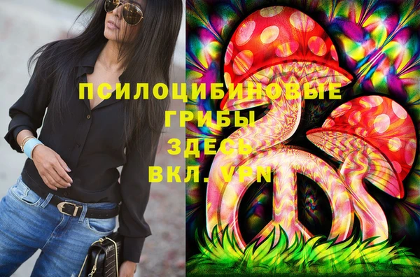 ГАЛЛЮЦИНОГЕННЫЕ ГРИБЫ Куйбышев