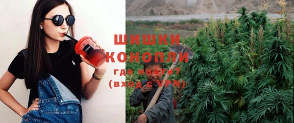 ГАЛЛЮЦИНОГЕННЫЕ ГРИБЫ Кулебаки